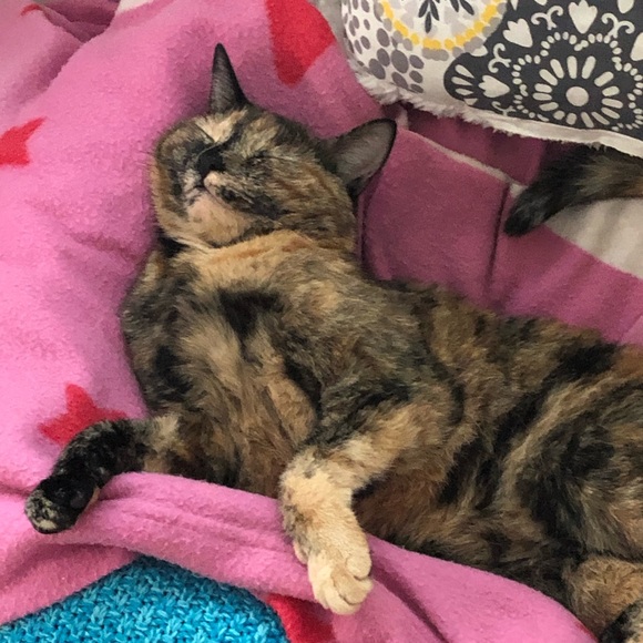 Meet your Posher, Simone - Picture 1 of 1